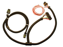 Carica l&#39;immagine nel visualizzatore di Gallery, FAST Ign Adapter Harness Buick V6