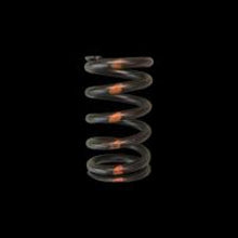 गैलरी व्यूवर में इमेज लोड करें, Brian Crower BRZ/FRS FA20 Single Valve Springs