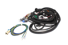 Laden Sie das Bild in den Galerie-Viewer, FAST Wiring Harness FAST Main LT1