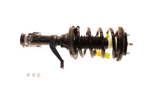 Laden Sie das Bild in den Galerie-Viewer, KYB Shocks &amp; Struts Strut Plus Front Right HONDA CR-V 2004-2002