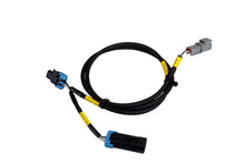 Laden Sie das Bild in den Galerie-Viewer, AEM CD-7/CD-7L Plug and Play Adapter Harness for Holley EFI