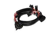 Charger l&#39;image dans la galerie, FAST Injector Harness Ev1 289302