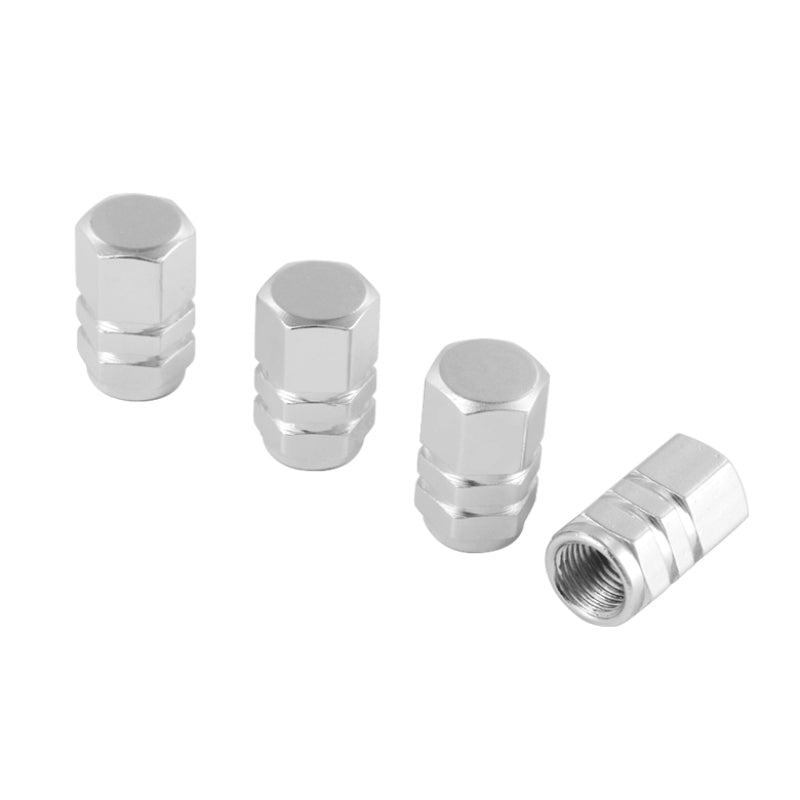 Xtune Tires Valve Stem Cap 4pcs Silver ACC-VC01-SL