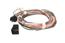 Carica l&#39;immagine nel visualizzatore di Gallery, FAST Wiring Harness FAST 4-Cyl