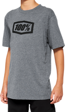 Charger l&#39;image dans la galerie, 100% Youth Icon T-Shirt - Gray - Large 20001-00010