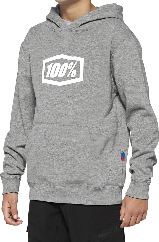 100% Youth Icon Hoodie - Gray - Medium 20030-00005