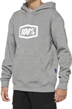 Charger l&#39;image dans la galerie, 100% Youth Icon Hoodie - Gray - Medium 20030-00005