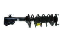 Laden Sie das Bild in den Galerie-Viewer, KYB Shocks &amp; Struts Strut Plus Front 00-05 Toyota Echo