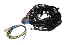 Carica l&#39;immagine nel visualizzatore di Gallery, FAST Wiring Harness Main LS1LS2L