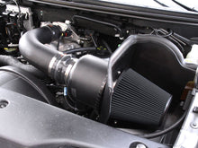 Laden Sie das Bild in den Galerie-Viewer, Airaid 04-06 Ford F-150 4.6L CAD Intake System w/ Tube (Dry / Black Media)