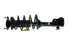 Laden Sie das Bild in den Galerie-Viewer, KYB Shocks &amp; Struts Strut Plus Front 00-05 Toyota Echo