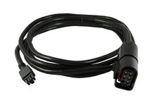 Laden Sie das Bild in den Galerie-Viewer, Innovate Sensor Cable: 3 ft. (LM-2 MTX-L)