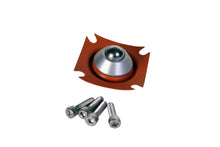 Cargar imagen en el visor de la galería, Aeromotive Diaphragm Repair Kit - A2000 Fuel Pump