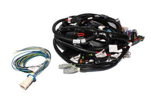 Cargar imagen en el visor de la galería, FAST Wiring Harness Main Dodge 5.7