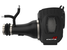 Cargar imagen en el visor de la galería, aFe Momentum GT Pro DRY S Cold Air Intake System 17-18 Nissan Titan V8 5.6L