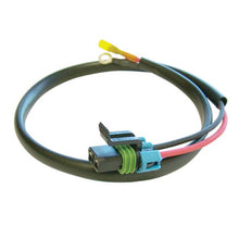 गैलरी व्यूवर में इमेज लोड करें, SPAL Jumper Harness w/ Metri-Pack Connector